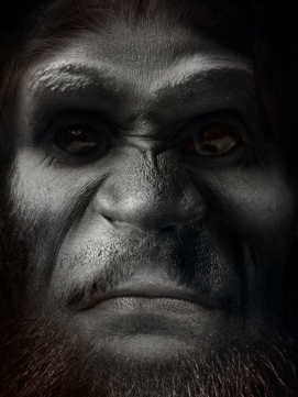 Bigfoot: An uncatalogued species of primate.