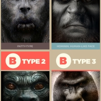 4 types of Bigfoot
